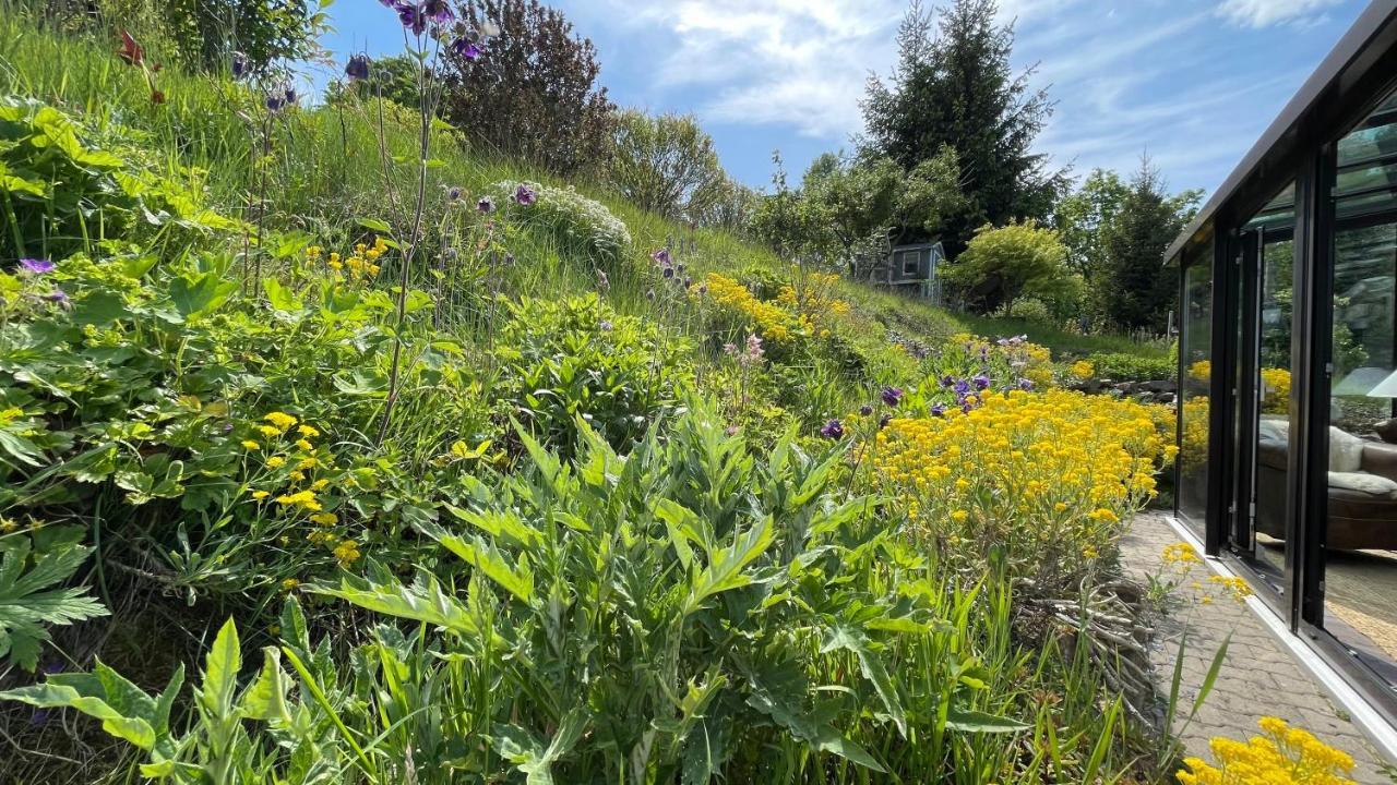 فيلا Fluegels Rebi-Baude Rechenberg-Bienenmühle المظهر الخارجي الصورة