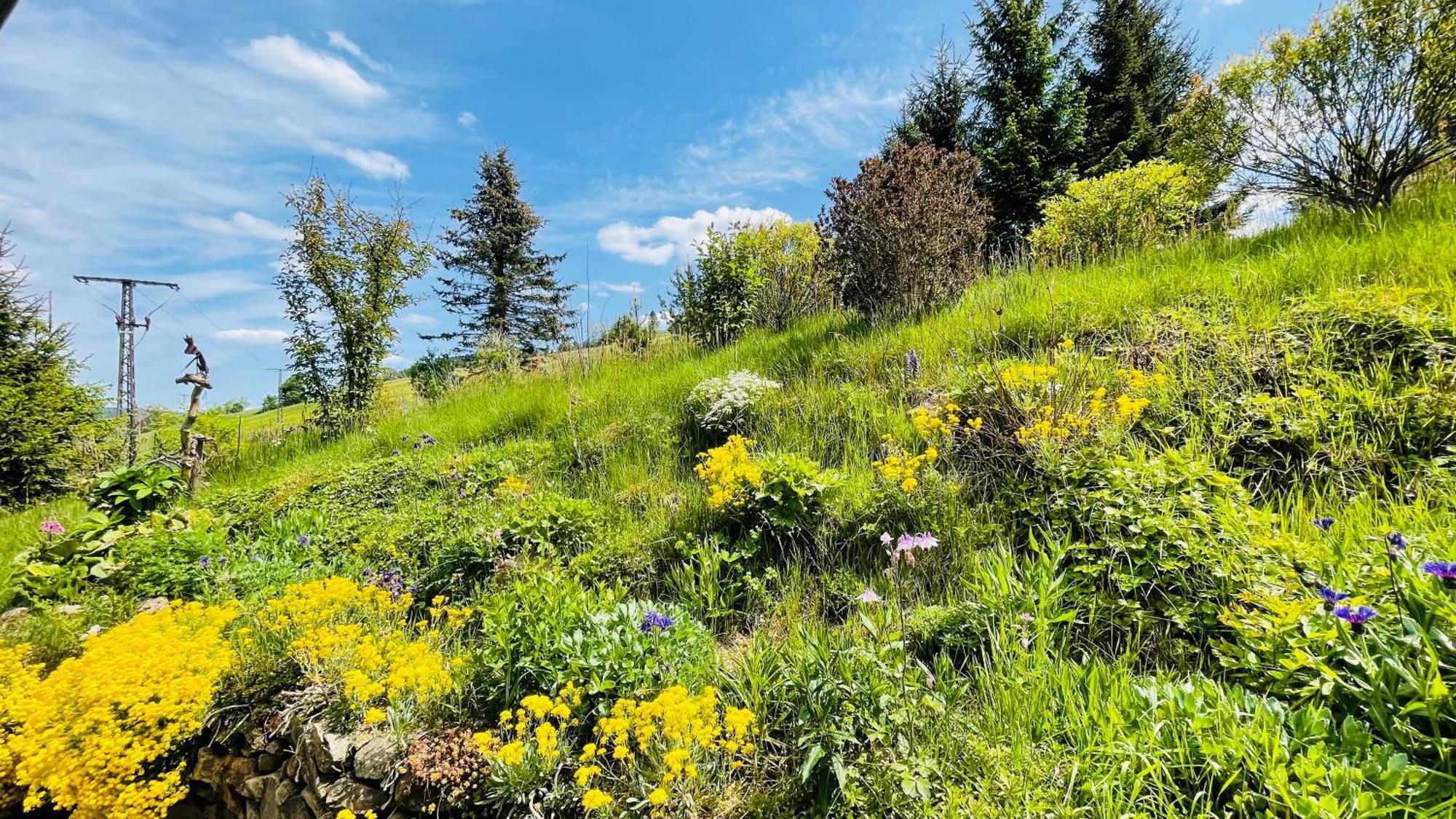فيلا Fluegels Rebi-Baude Rechenberg-Bienenmühle المظهر الخارجي الصورة